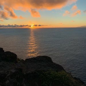 Meet your Posher, Riley